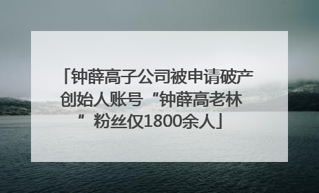 钟薛高子公司被申请破产 创始人账号“钟薛高老林”粉丝仅1800余人