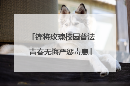铿将玫瑰校园普法 青春无悔严惩毒患