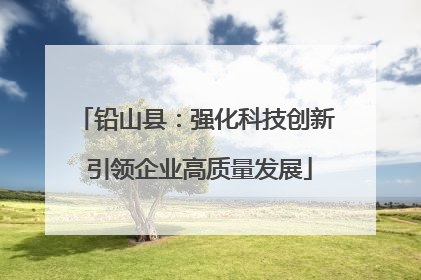铅山县：强化科技创新 引领企业高质量发展