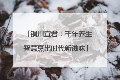 铜川宜君：千年养生智慧烹出时代新滋味