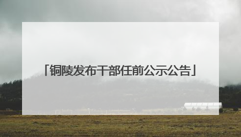 铜陵发布干部任前公示公告