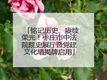 铭记历史、赓续荣光！枣庄市中法院院史展厅暨党建文化墙揭牌启用