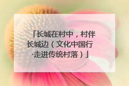 长城在村中，村伴长城边（文化中国行·走进传统村落）
