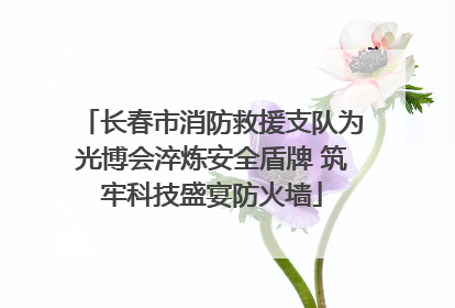 长春市消防救援支队为光博会淬炼安全盾牌 筑牢科技盛宴防火墙