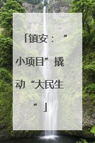 镇安：“小项目”撬动“大民生”