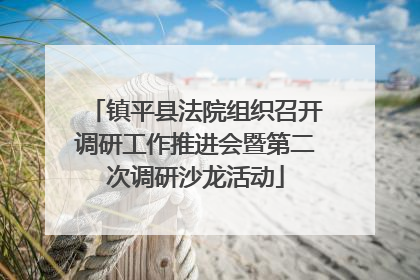 镇平县法院组织召开调研工作推进会暨第二次调研沙龙活动