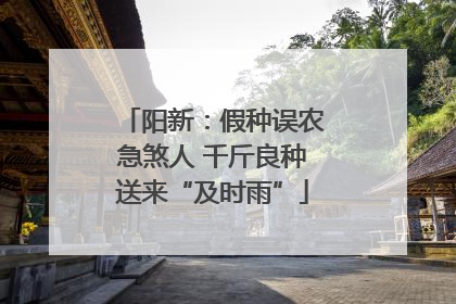 阳新：假种误农急煞人 千斤良种送来“及时雨”