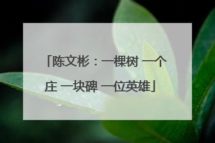 陈文彬：一棵树 一个庄 一块碑 一位英雄