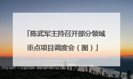 陈武军主持召开部分领域重点项目调度会（图）