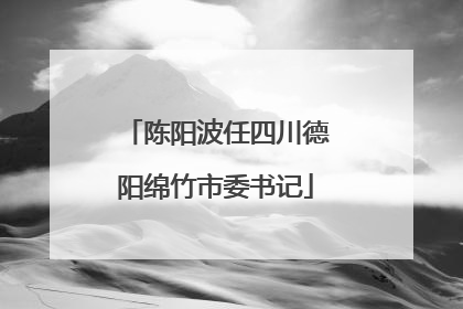 陈阳波任四川德阳绵竹市委书记