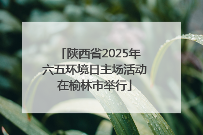 陕西省2025年六五环境日主场活动在榆林市举行