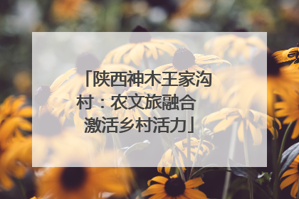 陕西神木王家沟村：农文旅融合 激活乡村活力