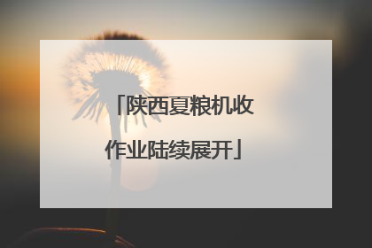 陕西夏粮机收作业陆续展开