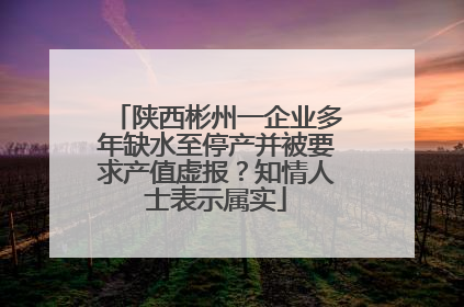 陕西彬州一企业多年缺水至停产并被要求产值虚报？知情人士表示属实