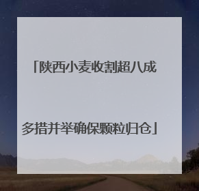 陕西小麦收割超八成 多措并举确保颗粒归仓
