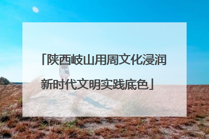 陕西岐山用周文化浸润新时代文明实践底色