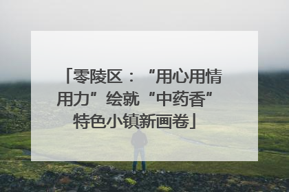 零陵区：“用心用情用力”绘就“中药香”特色小镇新画卷
