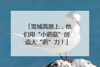 雪域高原上，他们用“小蘑菇”创造大“蘑”力！
