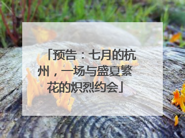 预告：七月的杭州，一场与盛夏繁花的炽烈约会