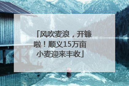 风吹麦浪，开镰啦！顺义15万亩小麦迎来丰收