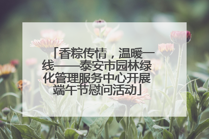 香粽传情，温暖一线——泰安市园林绿化管理服务中心开展端午节慰问活动