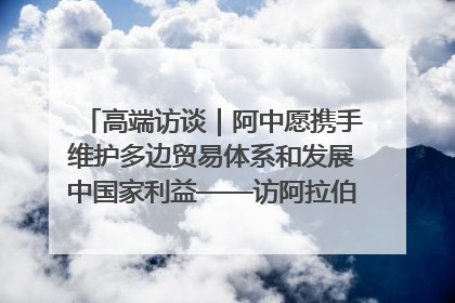高端访谈｜阿中愿携手维护多边贸易体系和发展中国家利益——访阿拉伯议会议长亚马希