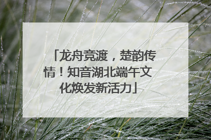 龙舟竞渡，楚韵传情！知音湖北端午文化焕发新活力