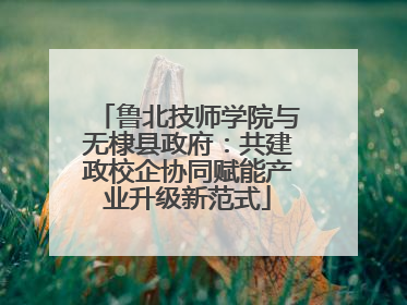 鲁北技师学院与无棣县政府：共建政校企协同赋能产业升级新范式