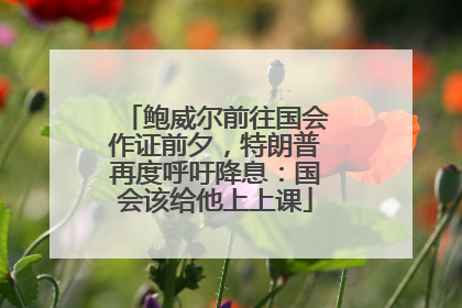 鲍威尔前往国会作证前夕，特朗普再度呼吁降息：国会该给他上上课