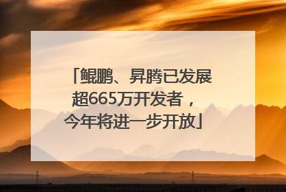 鲲鹏、昇腾已发展超665万开发者，今年将进一步开放
