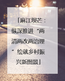 麻江坝芒：纵深推进“两清两改两治理”绘就乡村振兴新图景