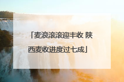 麦浪滚滚迎丰收 陕西麦收进度过七成