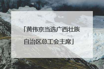 黄伟京当选广西壮族自治区总工会主席