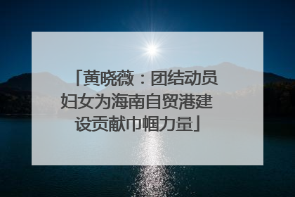 黄晓薇：团结动员妇女为海南自贸港建设贡献巾帼力量
