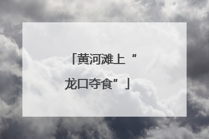 黄河滩上“龙口夺食”