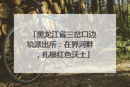 黑龙江省三岔口边境派出所：在界河畔，扎根红色沃土