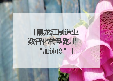 黑龙江制造业数智化转型跑出“加速度”