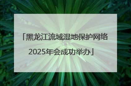 黑龙江流域湿地保护网络2025年会成功举办
