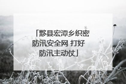 黟县宏潭乡织密防汛安全网 打好防汛主动仗