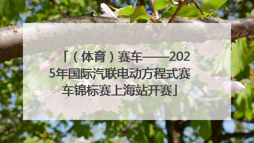 （体育）赛车——2025年国际汽联电动方程式赛车锦标赛上海站开赛