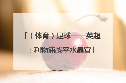 （体育）足球——英超：利物浦战平水晶宫