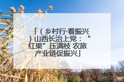 （乡村行·看振兴）山西长治上党：“红果”压满枝 农旅产业链促振兴