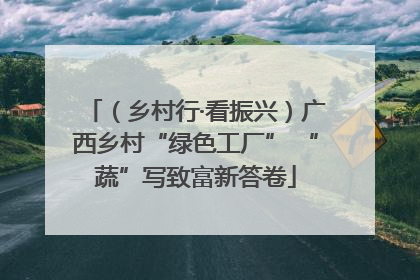 （乡村行·看振兴）广西乡村“绿色工厂” “蔬”写致富新答卷