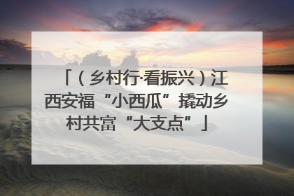 （乡村行·看振兴）江西安福“小西瓜”撬动乡村共富“大支点”