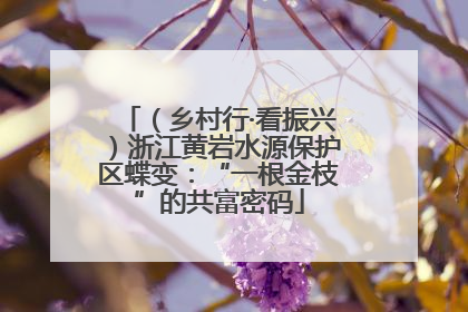 （乡村行·看振兴）浙江黄岩水源保护区蝶变：“一根金枝”的共富密码