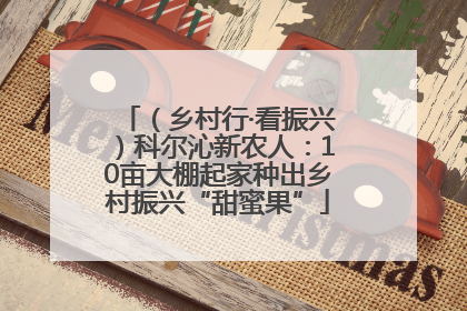 （乡村行·看振兴）科尔沁新农人：10亩大棚起家种出乡村振兴“甜蜜果”