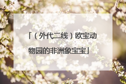 （外代二线）欧宝动物园的非洲象宝宝