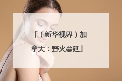 （新华视界）加拿大：野火蔓延