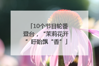 10个节目轮番登台，“茉莉花开”盱眙飘“香”