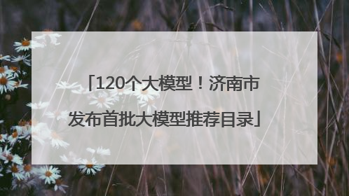 120个大模型！济南市发布首批大模型推荐目录